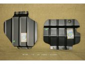   ( 2) NISSAN NP 300